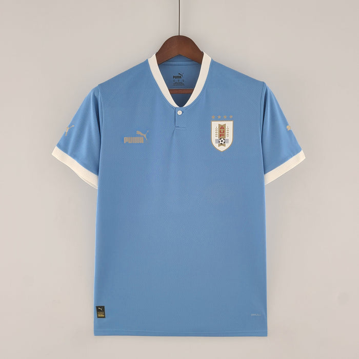 Uruguay 22-23 | World Cup | Home